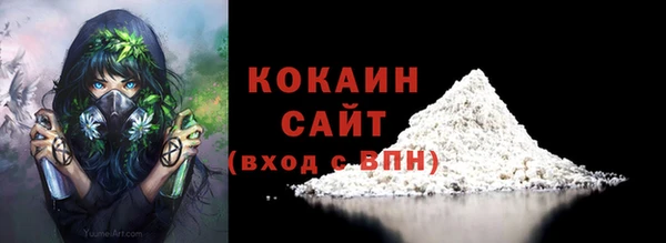 Альфа ПВП Верея