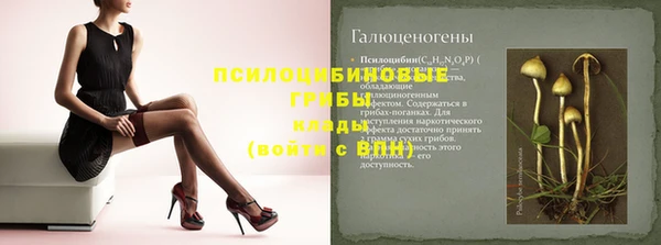 Альфа ПВП Верея