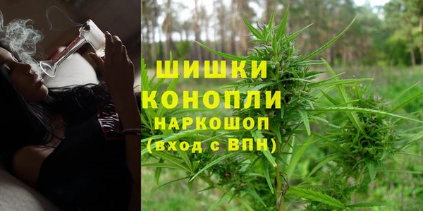 Альфа ПВП Верея