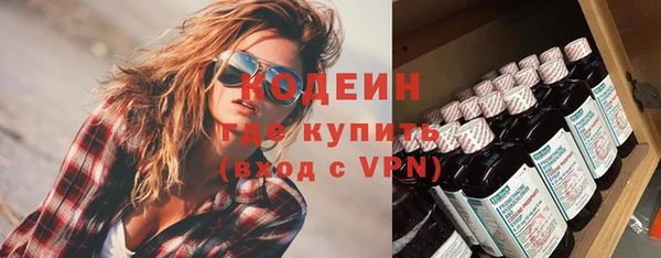 Альфа ПВП Верея